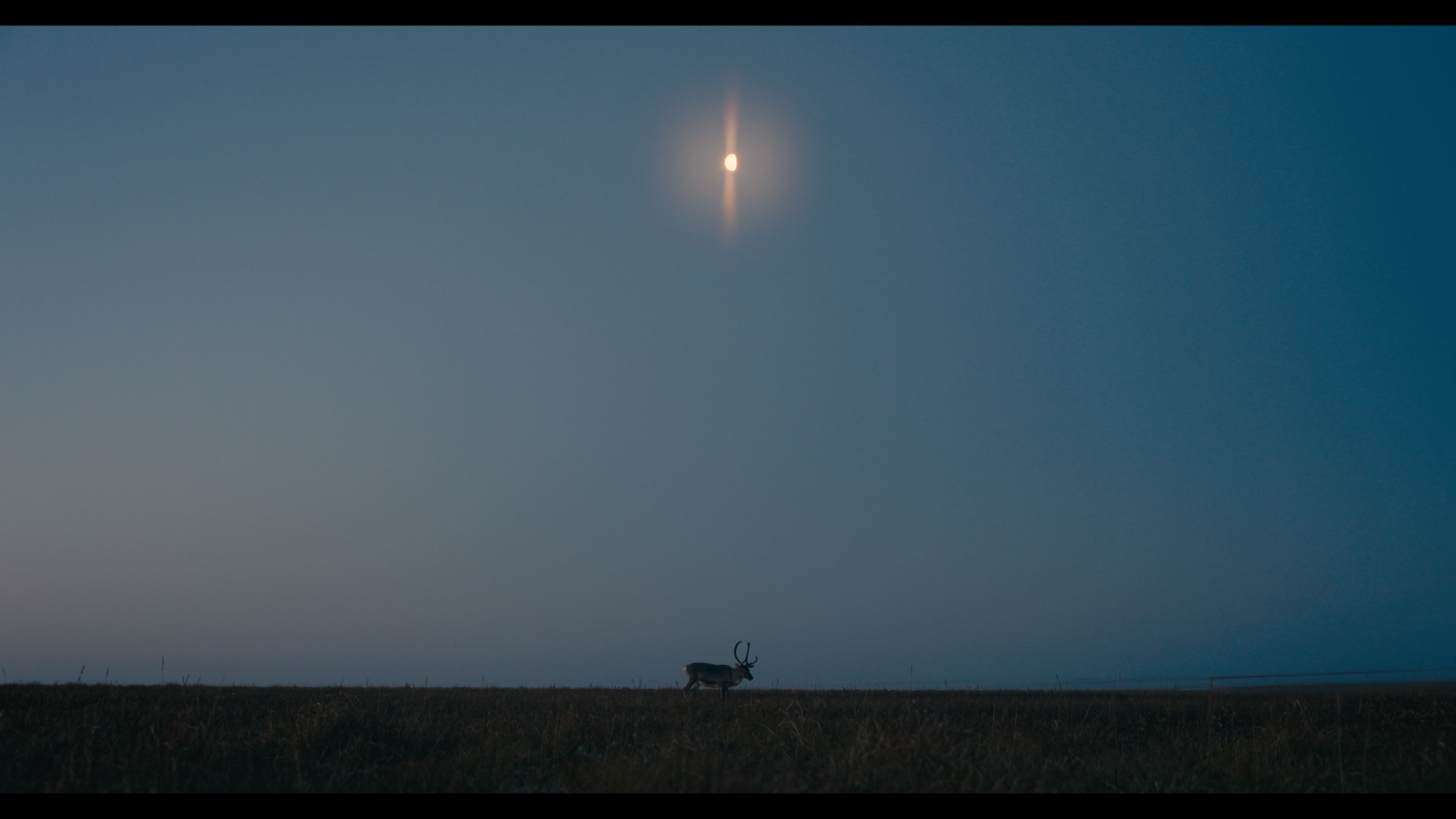 Wide shot of the landscape. Blue sky with the moon on the horizon. A reindeer in back light.